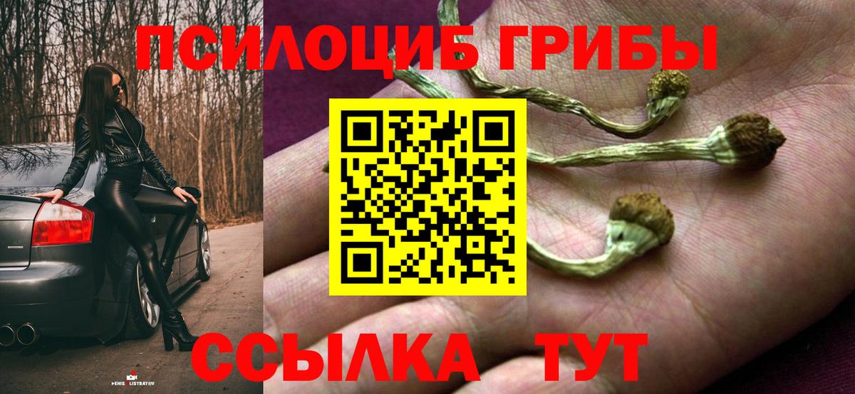 Дзержинский  Псилоцибиновые грибы Psilocybe  Вход с VPN 